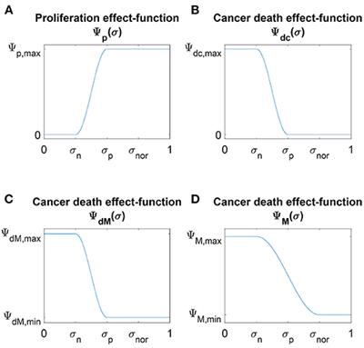 Re-polarisation of Macrophages Within Collective Tumour Cell Migration: A Multiscale Moving Boundary Approach